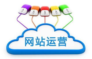 騰鴿信息 數(shù)字化浪潮下的品牌營(yíng)銷(xiāo)策劃新范式